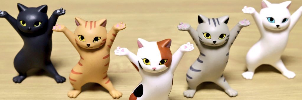 dindacaesarria's profile banner image