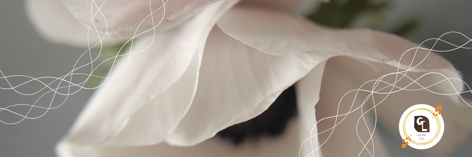 whatgoaround's profile banner image