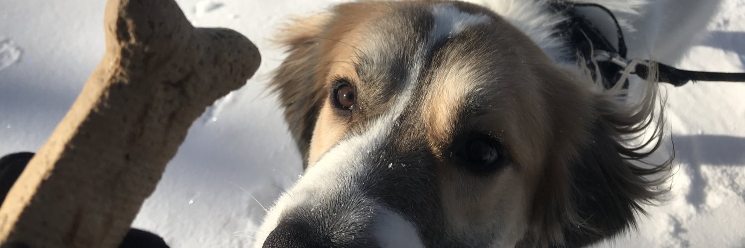A_Ryz_'s profile banner image