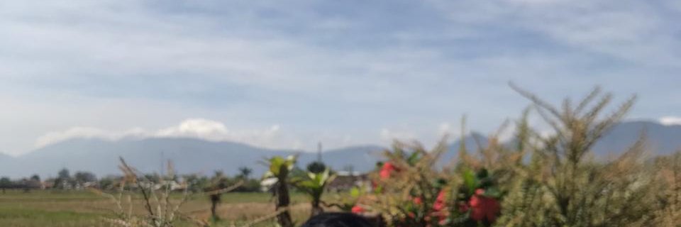 hambuana_'s profile banner image