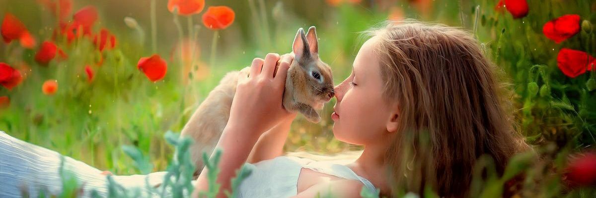 🍀🔱🌹Seema🌹🔱🍀Nature Lover B+💚's banner