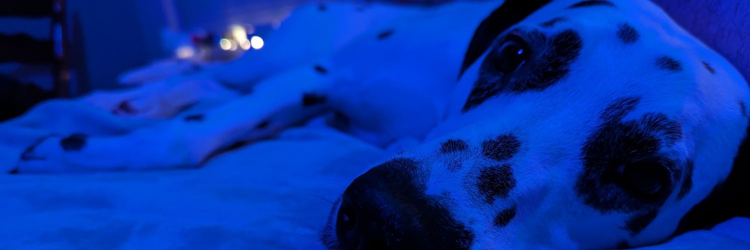vnxxm's profile banner image