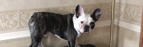 maudy832 Profile Banner