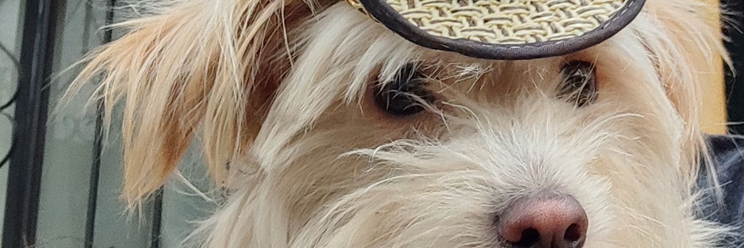 orejasperrunas's profile banner image