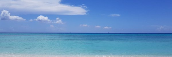 DianeDunkleyEPO Profile Banner
