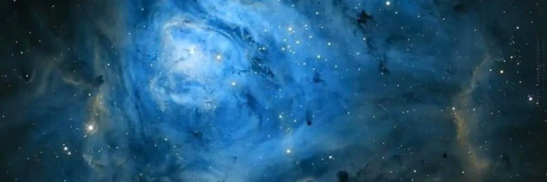 José Arlindo banner