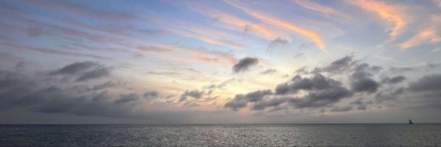 Jaenamor's profile banner image
