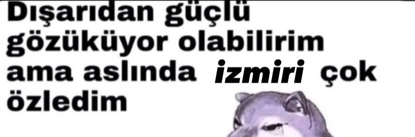 defnekin's profile banner image