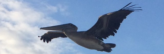 rrizquez's profile banner image