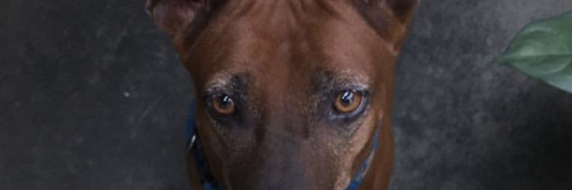 racbee's profile banner image