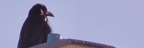 DocMojaveDesert Profile Banner