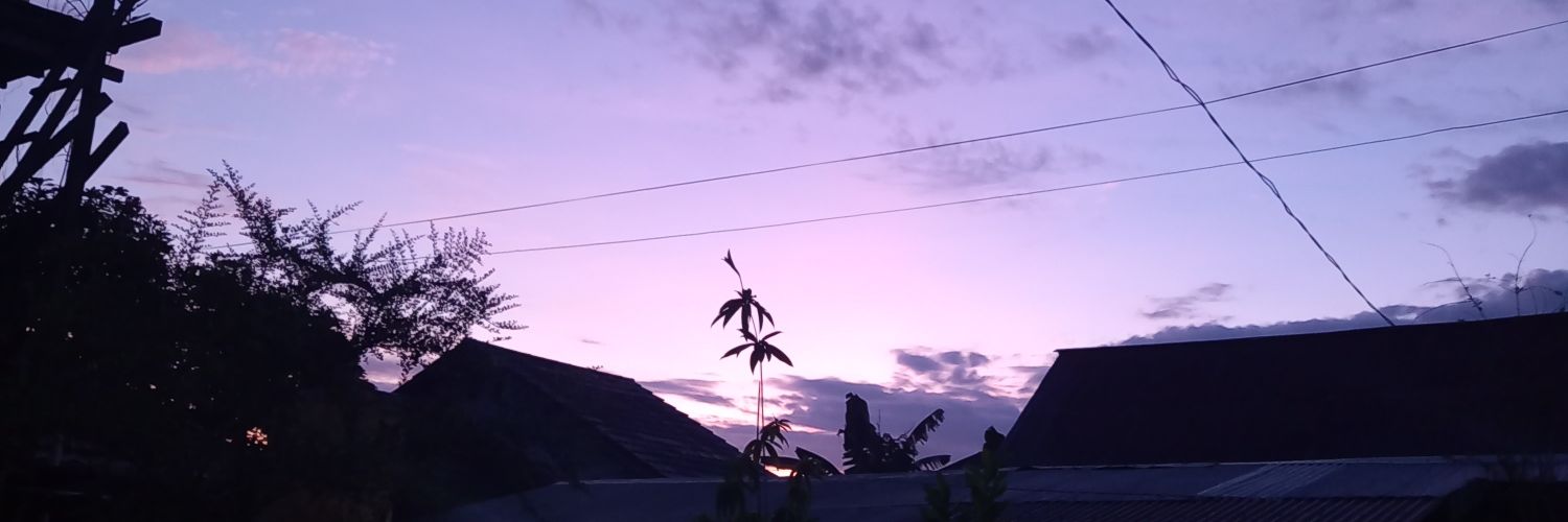 Pujianna's profile banner image