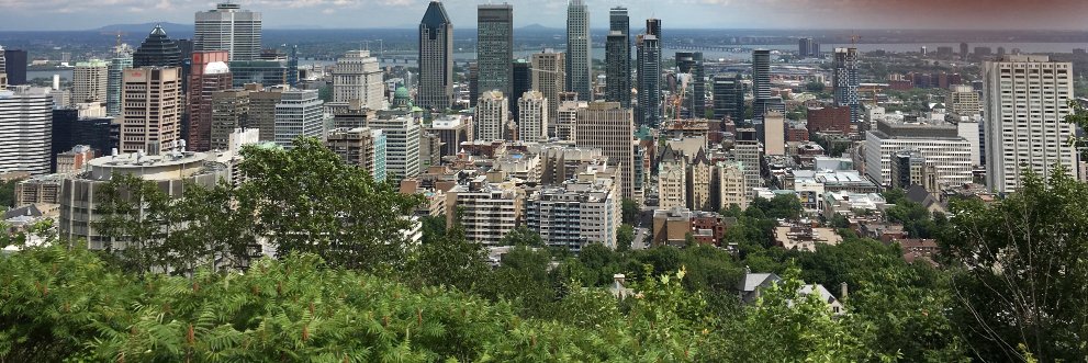 International Coalition for Sustainable Cities & T banner
