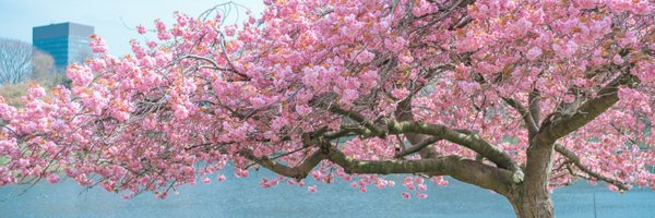 BrantWalkley Profile Banner