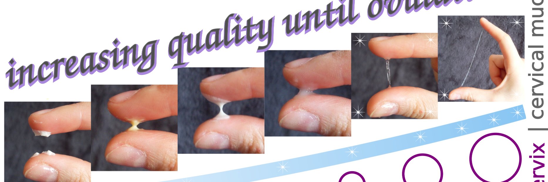 tv_fertility's profile banner image