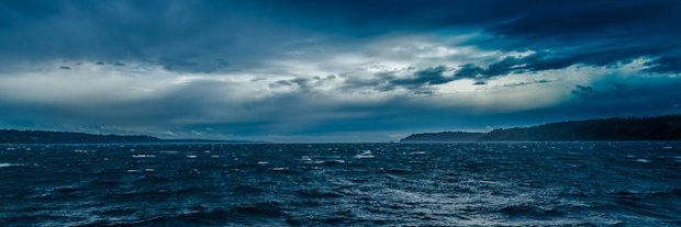 Ocean Wade 🍑 banner