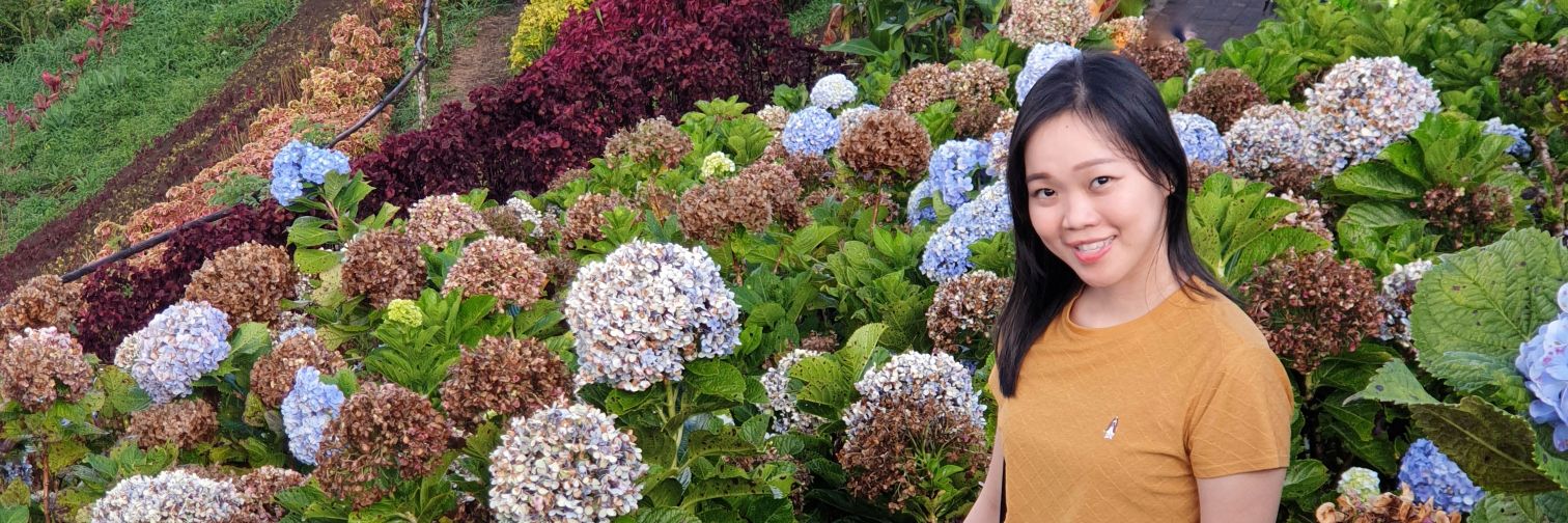 Amelia Soetanto banner
