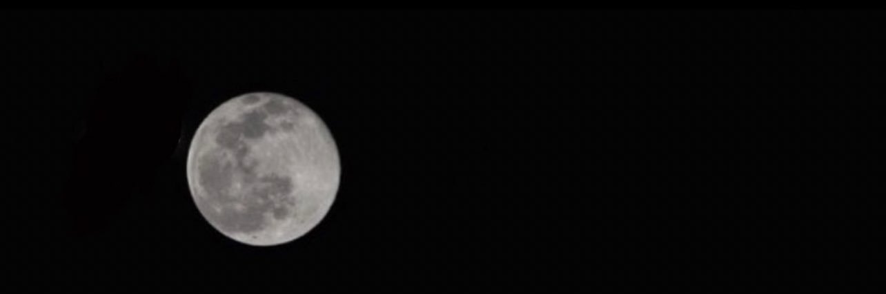 31l38's profile banner image
