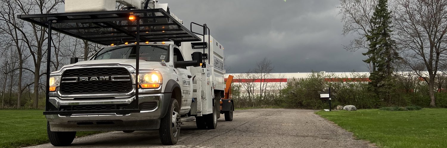 ol_hick_ross's profile banner image