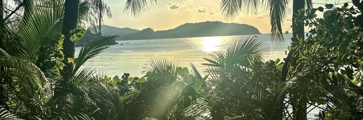 Tyler Crowley banner