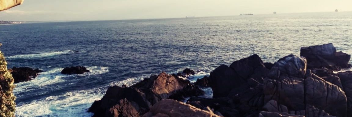 CloverPlaying's profile banner image