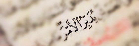 iasmahan211's profile banner image
