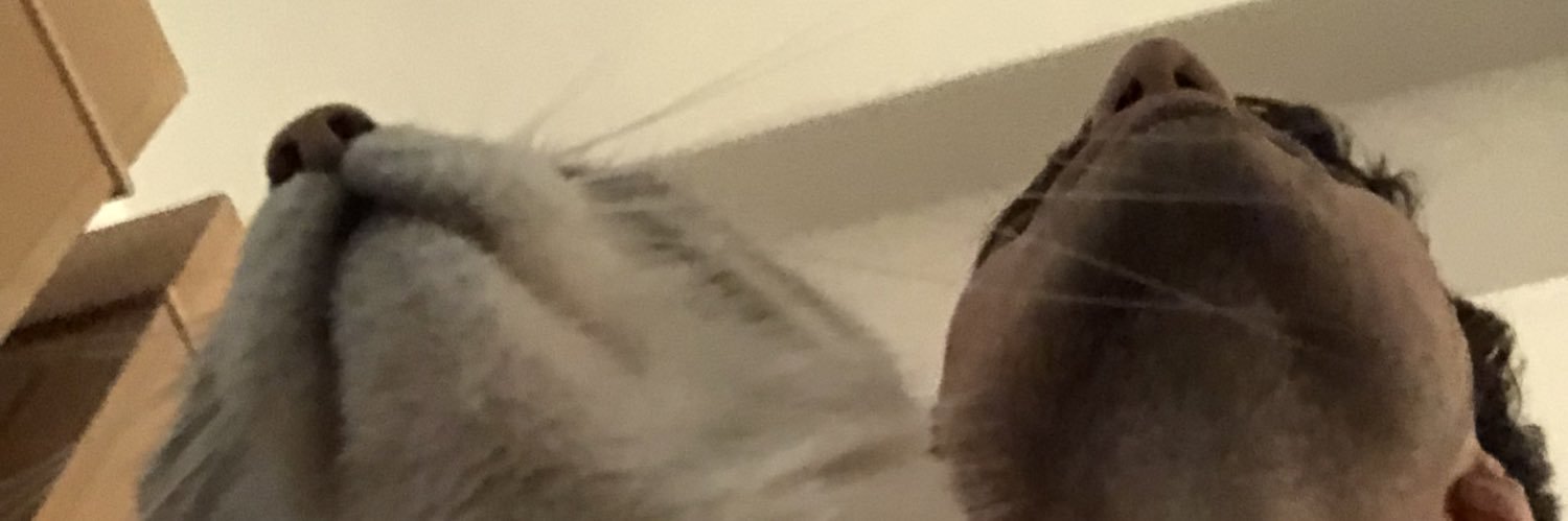 will_mdr's profile banner image