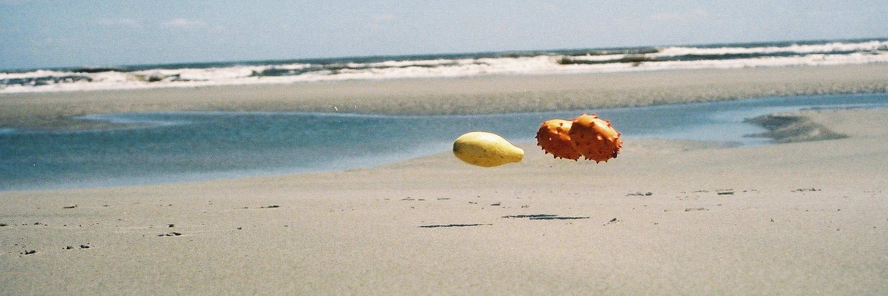 Tikva Morowati banner