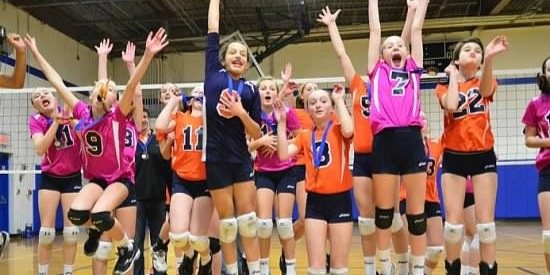 Synergy Volleyball banner