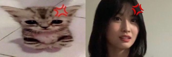 $𝐥æ𝐬𝐡𝐞𝐫🔞 banner