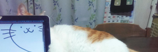 spuvnik's profile banner image