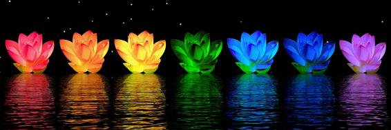 BhaveshDRami's profile banner image