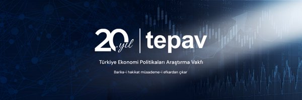 TEPAV Profile Banner