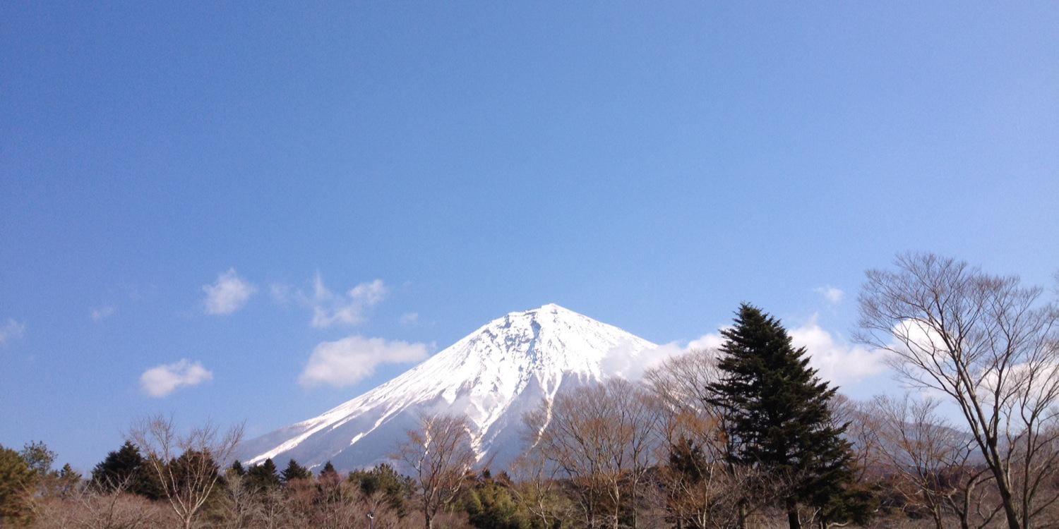 koutulala's profile banner image