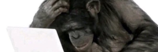 dmolol_'s profile banner image