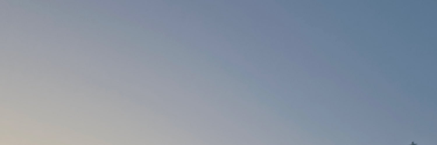 ygelzn's profile banner image