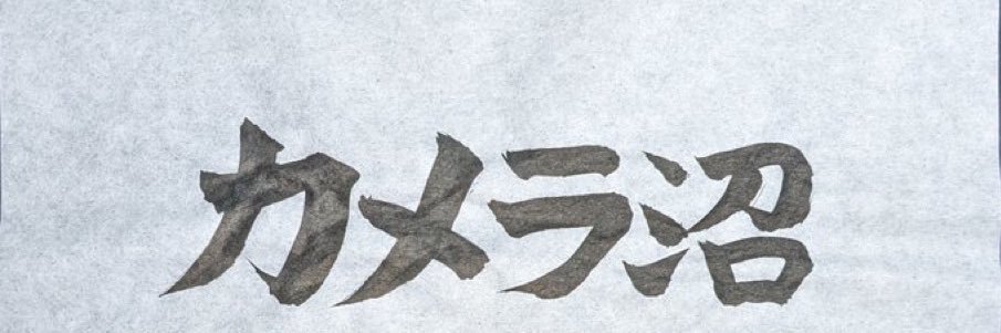 littleterumin's profile banner image
