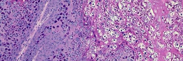 DonthiDeepak Profile Banner