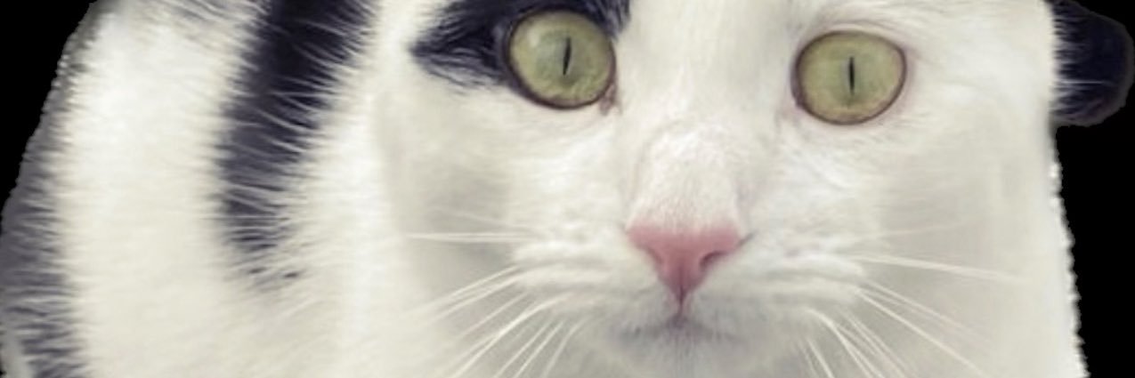 KLF4564's profile banner image