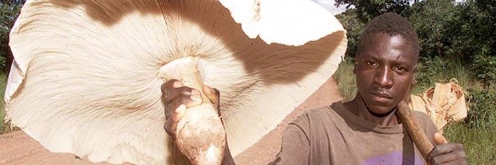 MeechieMVSERVTi's profile banner image