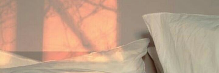เจนไคพ่อง!!! banner