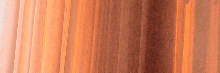 ilter_leyla's profile banner image