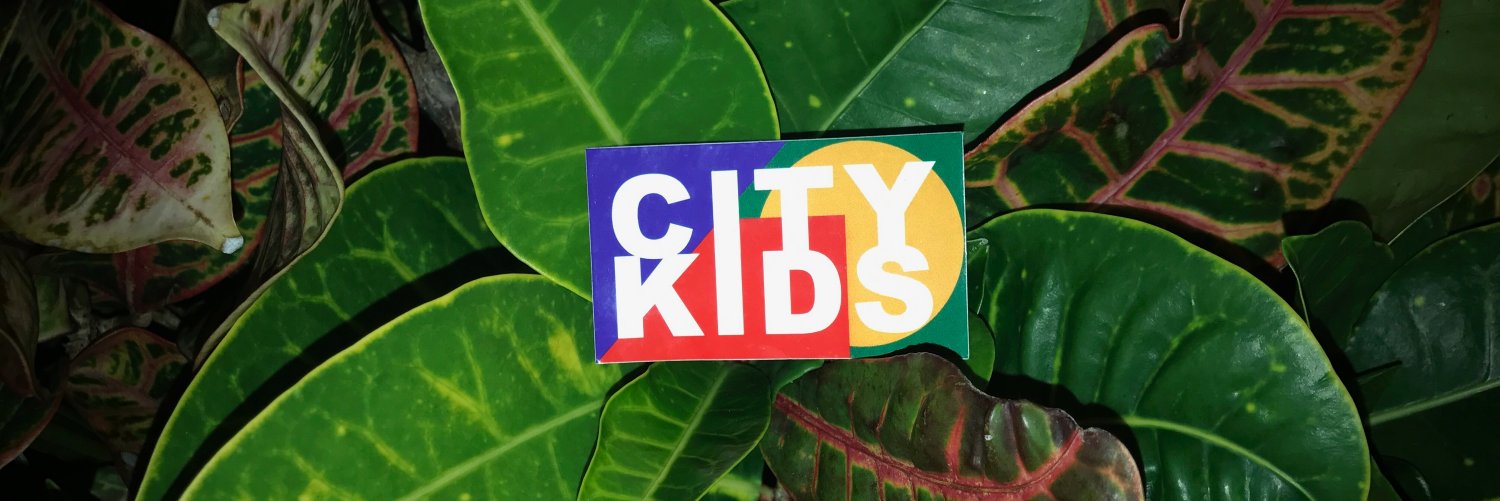 CITYKIDSNYC's profile banner image