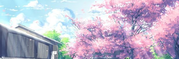 catalyst_p banner