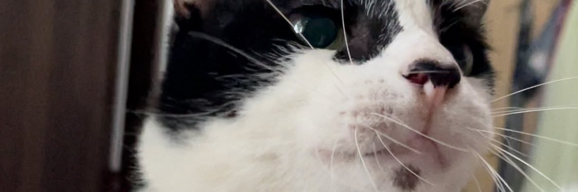 tikkadwi_'s profile banner image