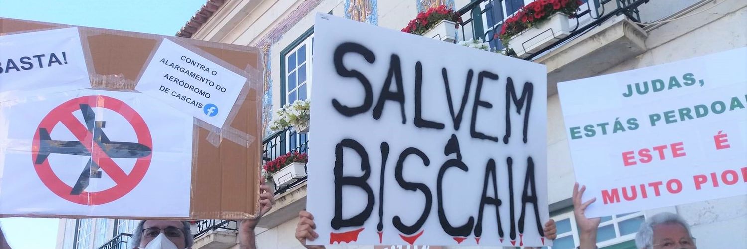 Dependentes de Cascais banner
