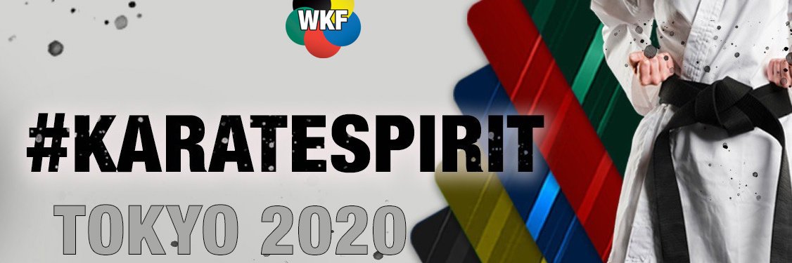fedokarate's profile banner image