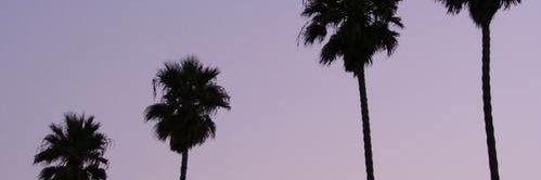 carostagram's profile banner image