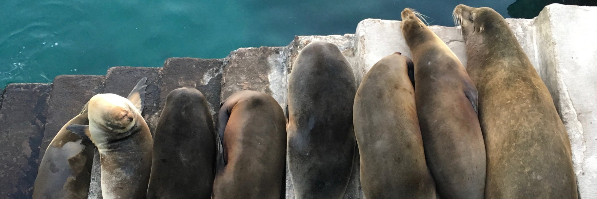 slimloon's profile banner image