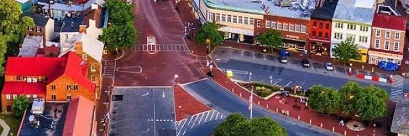 Barbara Webber banner